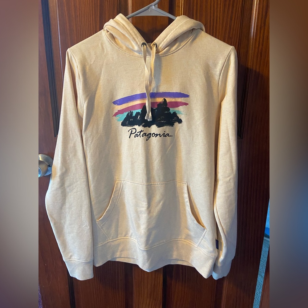 Patagonia hoodie